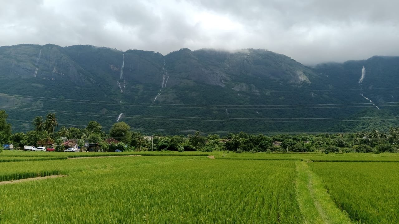 Attractions in Kollengode and Seetharkundu - Western Ghats, Palakkad, Kerala - waterfalls, hill treks, lotus lake, and village pathways